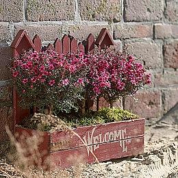 闲鱼宣布将从9月起 向全体卖家收取服务费